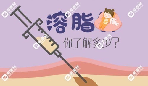 溶脂溶掉的脂肪去哪里了呢www.slzxedu.com