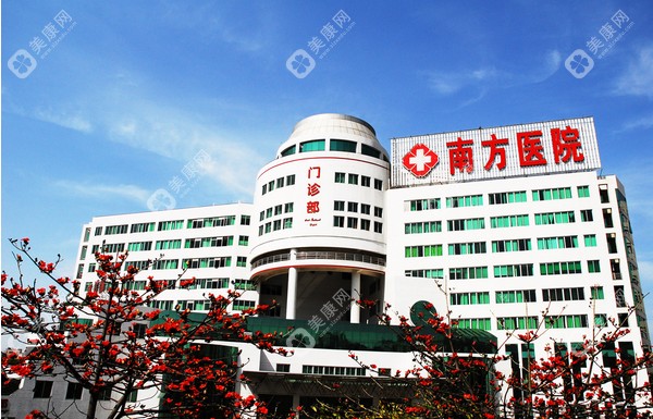 广州南方医院整形外科在几楼