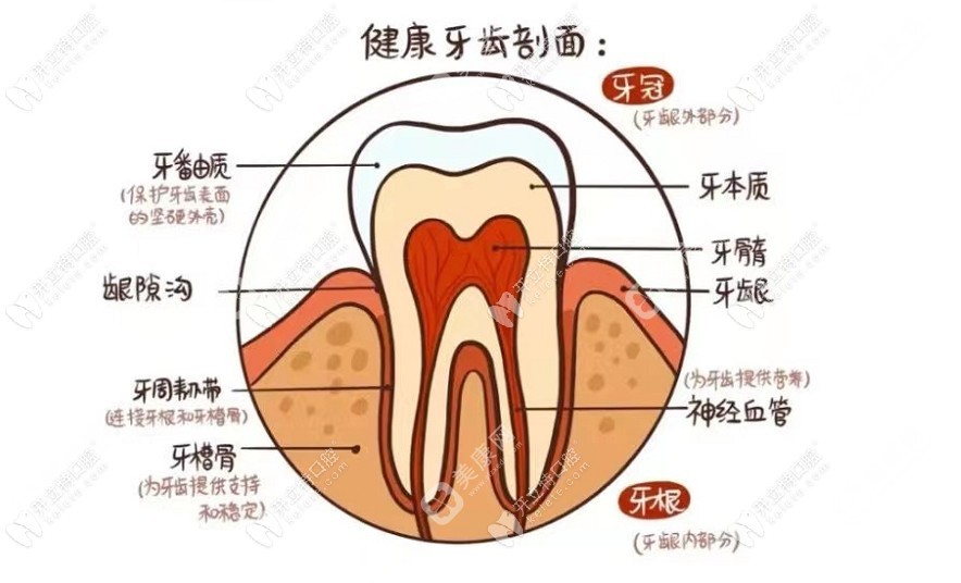 西安临潼付银效口腔诊所