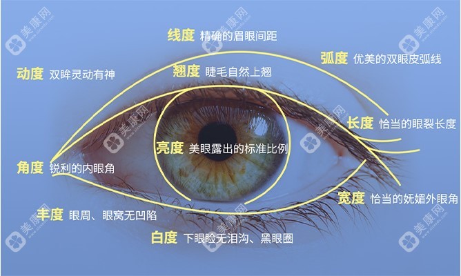 上海眼部修复技术好的医生排名前十