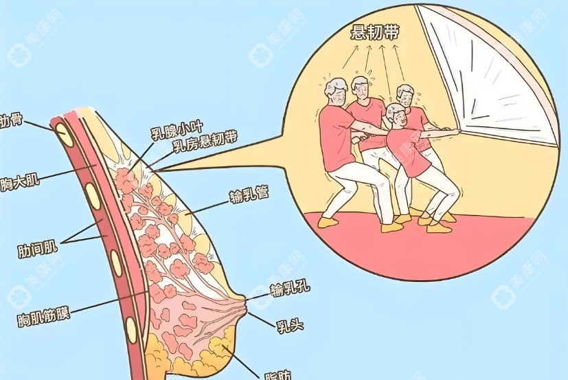 深圳南雅花苞提升术有副作用吗www.slzxedu.com