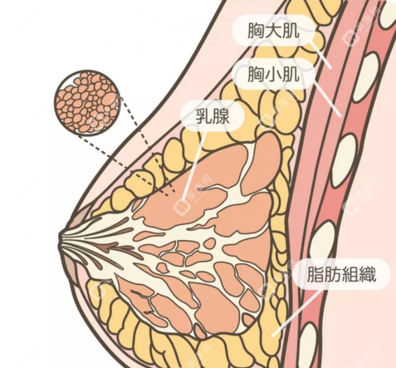 王明利医生做脂肪填充好吗？入围排名前十,王明利自体脂肪失败修复技术挺好的