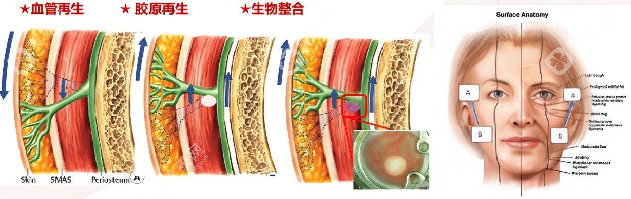 北京整形整容手术价格表