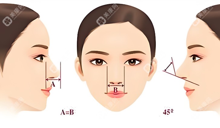 鼻整形www.slzxedu.com