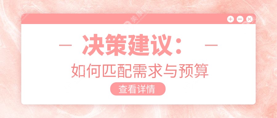 决策建议：如何匹配需求与预算