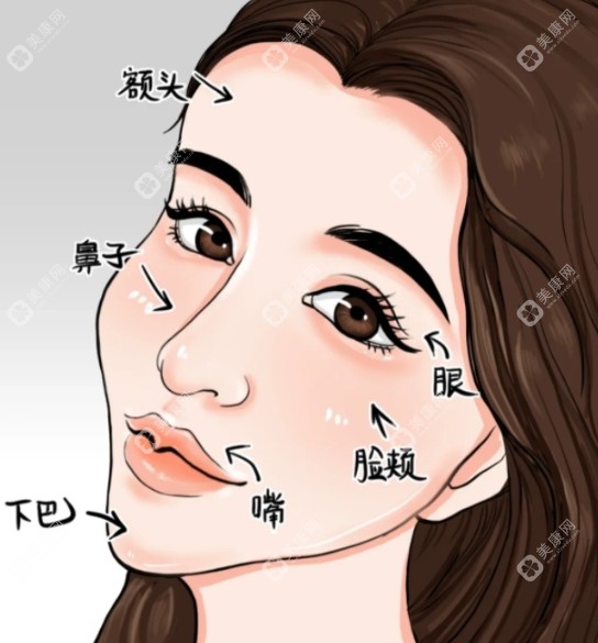 脸部可能出现馒化的部位