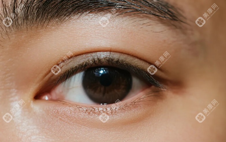 20250729117679.png image.png