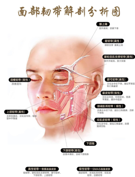 王易彬面部微整提升的收费价格