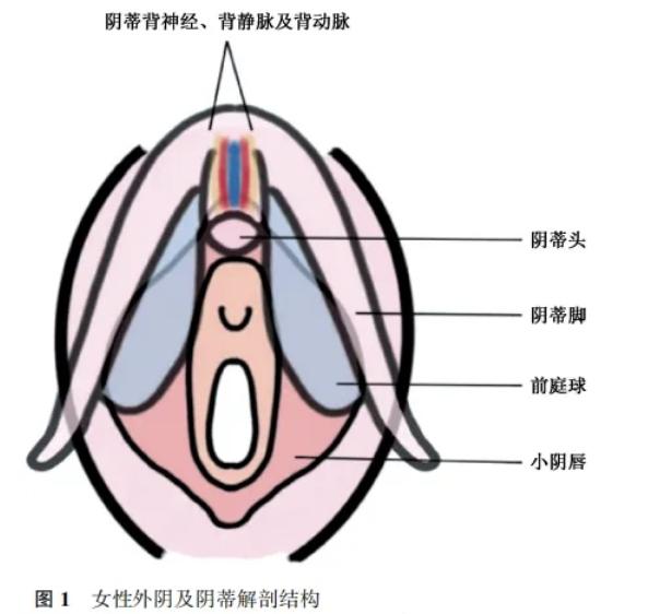 三、天津坤如瑪麗口碑怎么樣？這些科室值得關(guān)注www.kangershun.cn