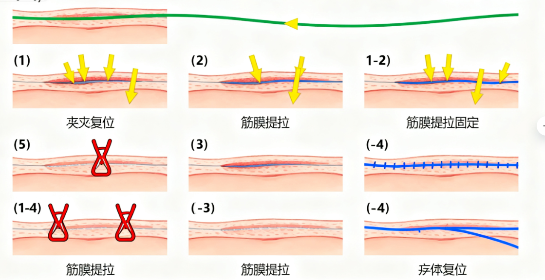 八、科学抗衰的未来：郭玉瑞医生的研究与展望