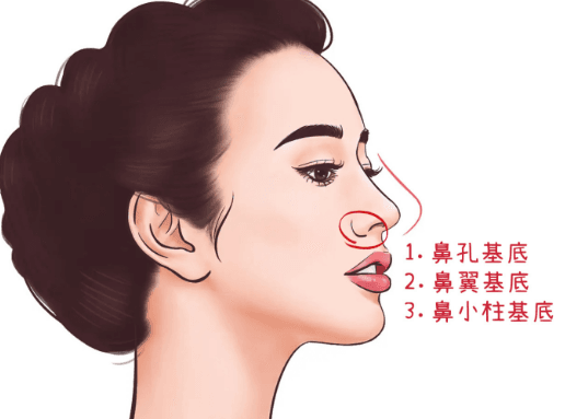 五、注意事项与特别提醒